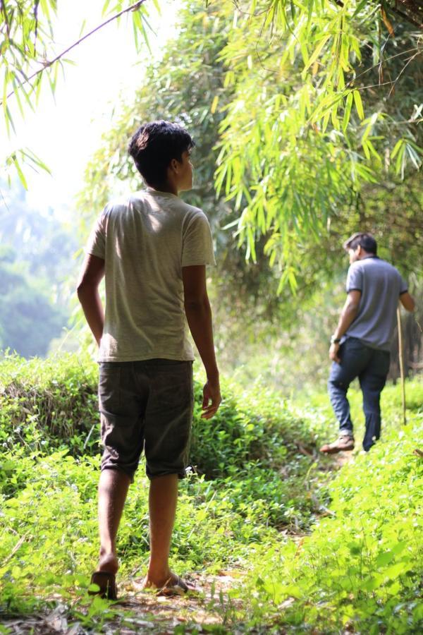 Letstay Vythiri Hill Palace Luaran gambar