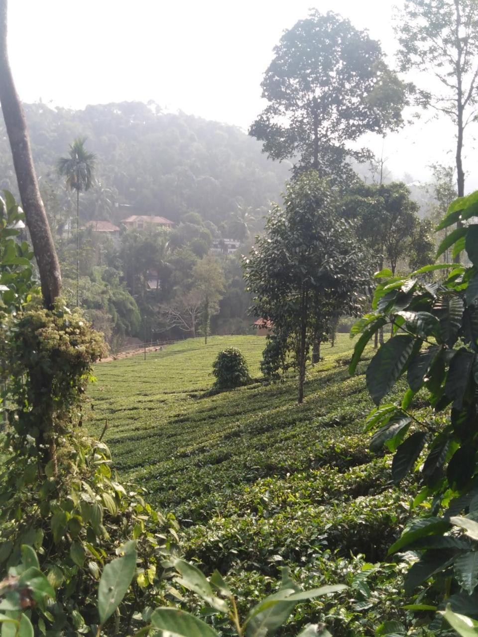 Letstay Vythiri Hill Palace Luaran gambar